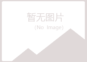 平昌县从灵咨询有限公司